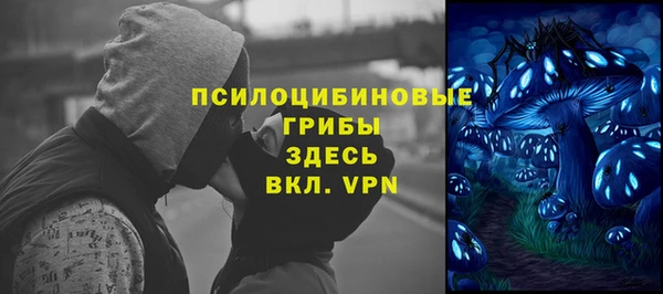 тгк Богданович