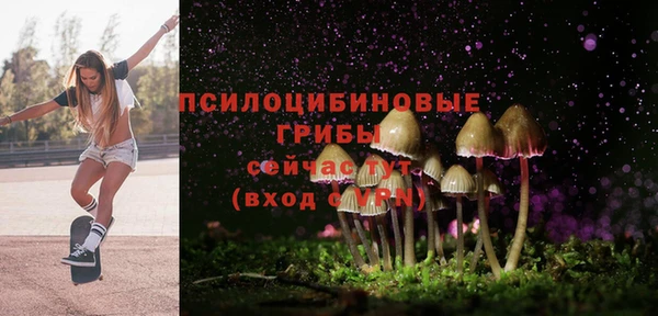 стаф Богородицк