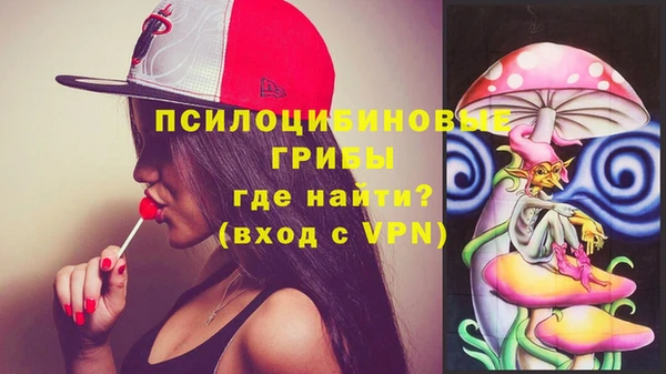 стаф Богородицк
